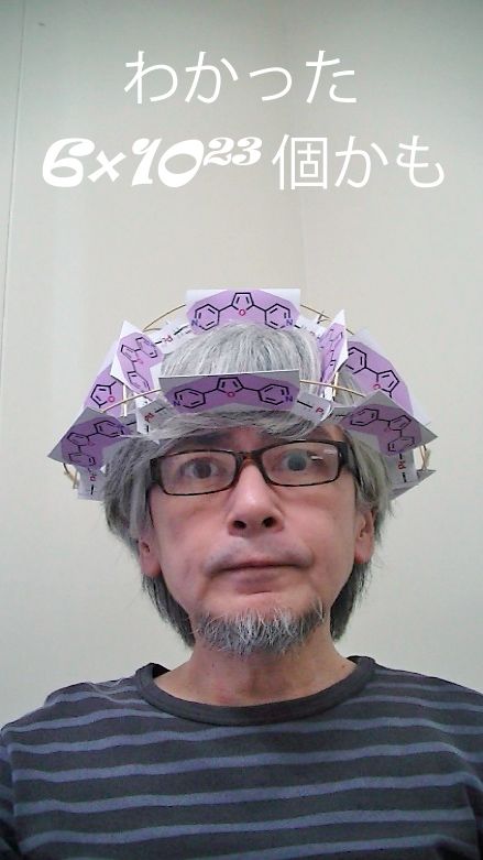 MOC模型をかぶり頭がよくなった堀越先生 MOC模型をかぶり頭がよくなった堀越先生