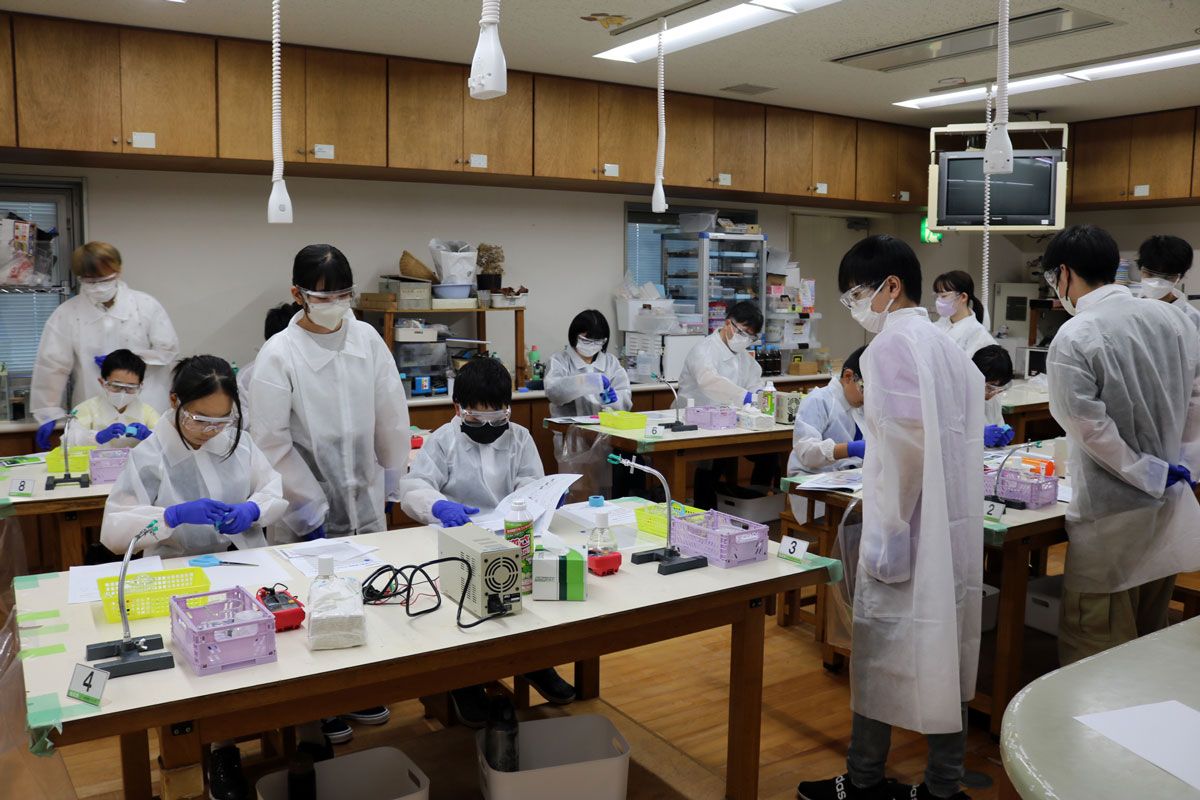 (写真11)有機EL素子の作製実験 (写真11)有機EL素子の作製実験