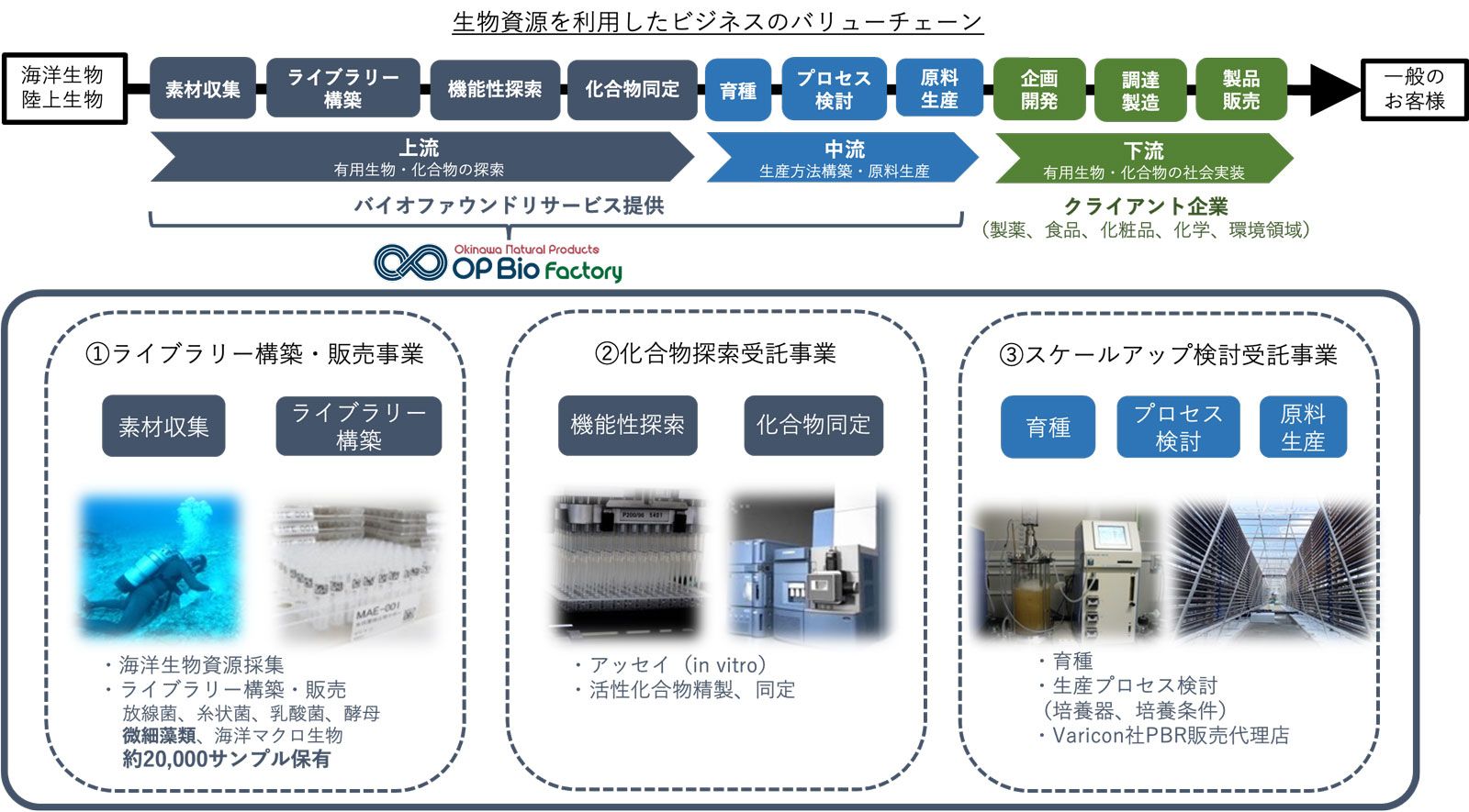 図1　オーピーバイオファクトリー株式会社の生物資源を利用したビジネスのバリューチェーン