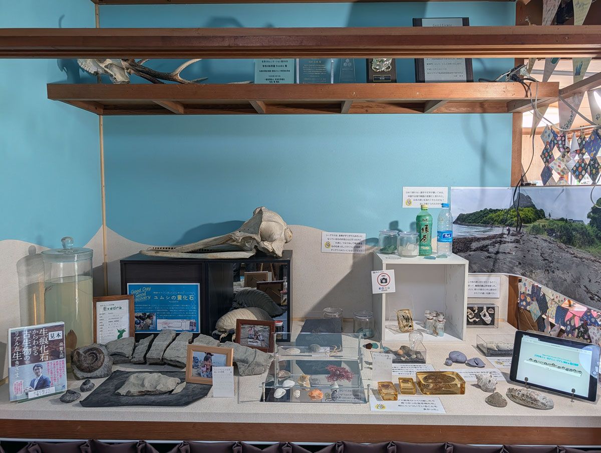 新しい展示コーナー