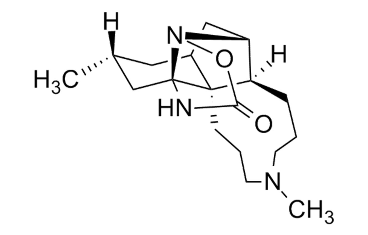 Lycoposerramine-A (Lycopodium属植物から高山研究室で単離した新規化合物)