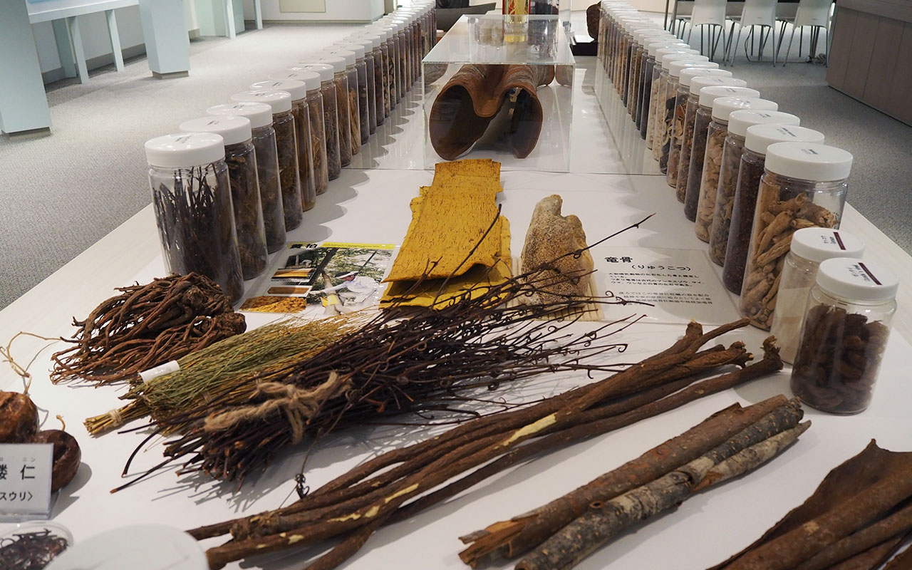 ツムラ漢方記念館に展示された原料生薬の数々