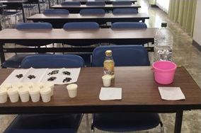 ミニバター作りと色が変わるハーブティー作り