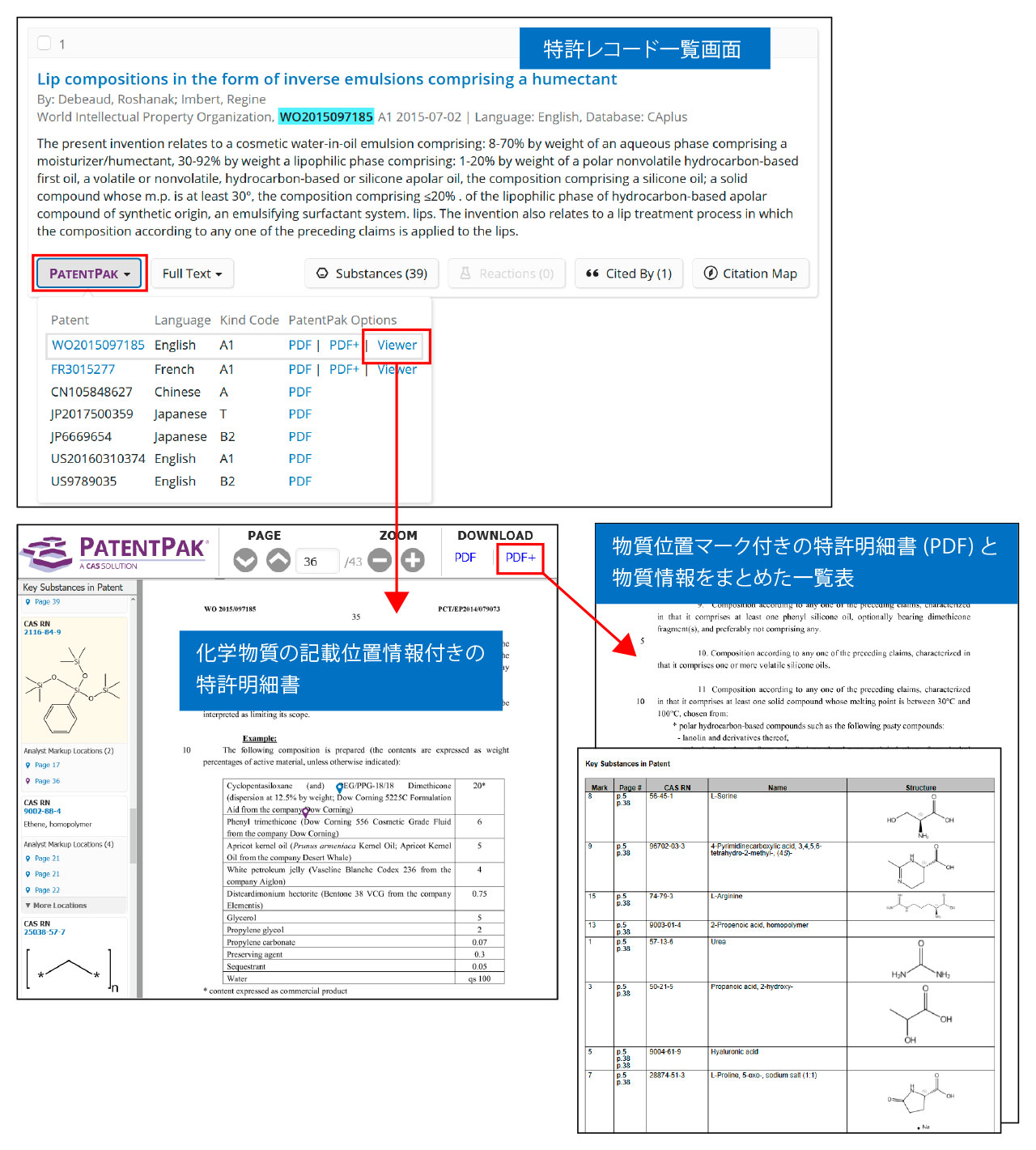 PatentPak 利用例