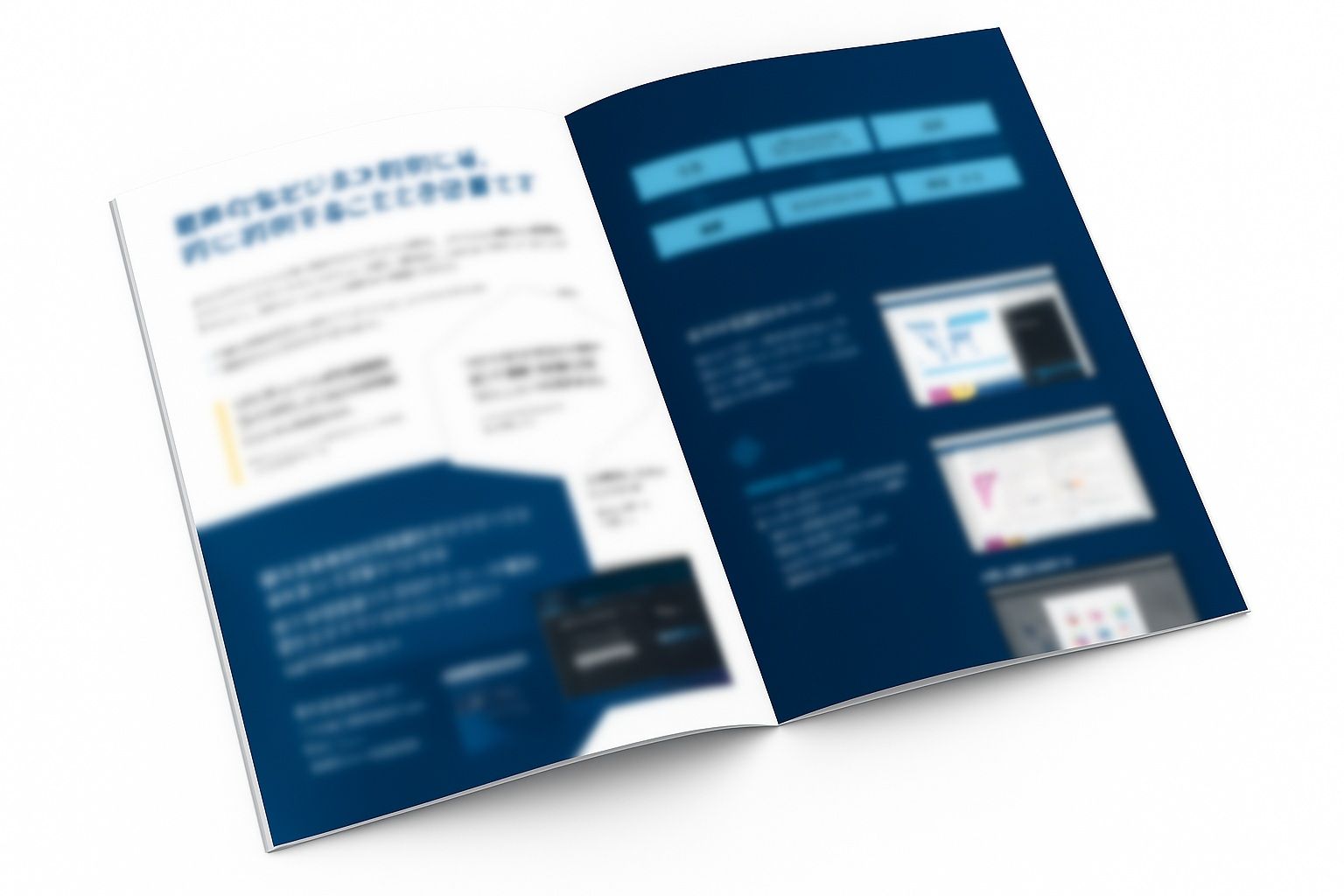 CAS IP Finder 資料請求